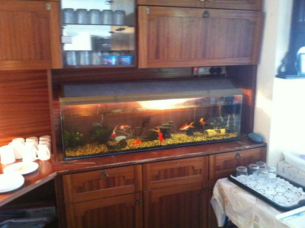 Fountain House B&B Macroom Buitenkant foto